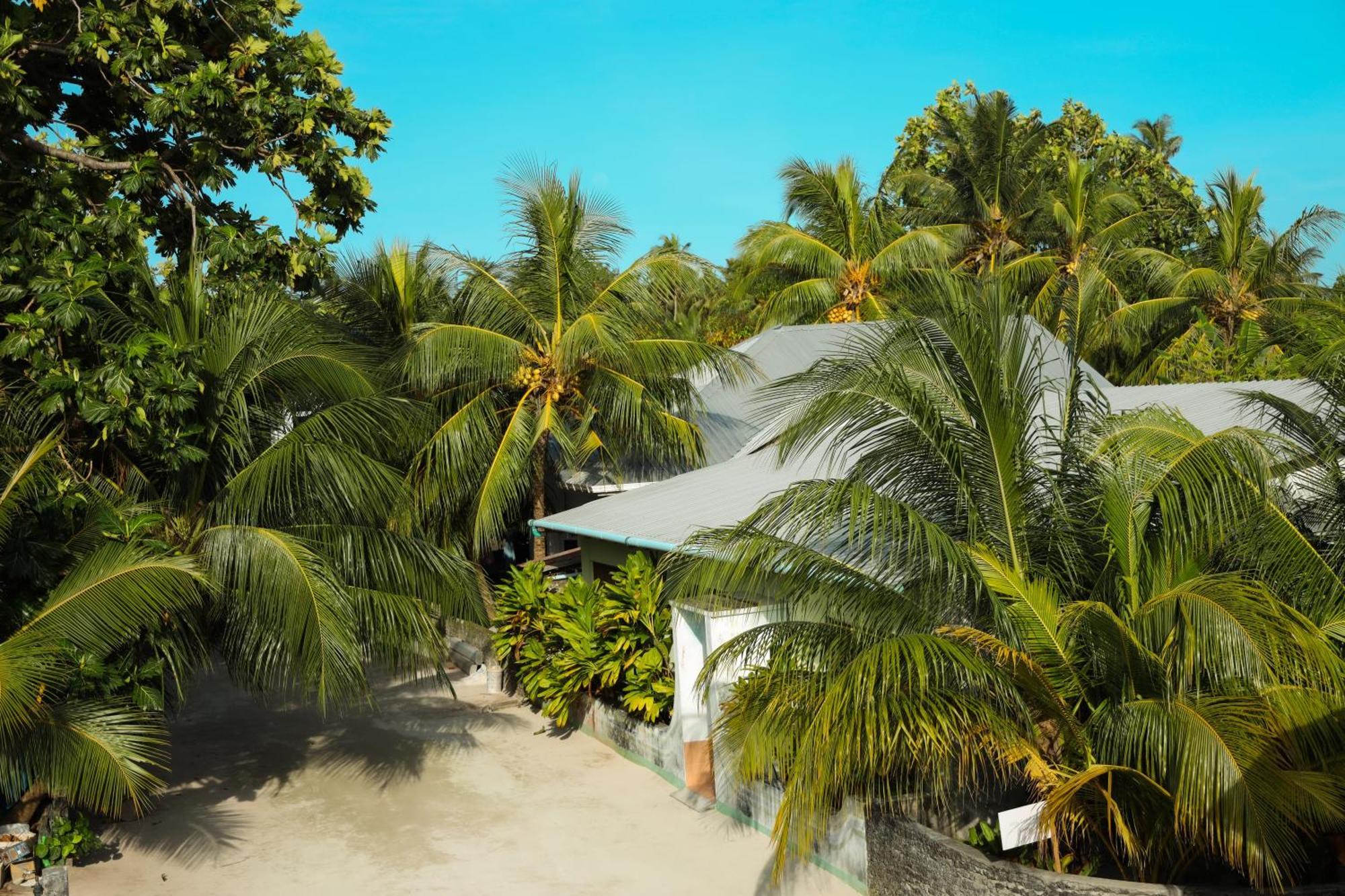 Shifa Lodge Maldives Feridhoo Exterior foto